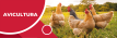 Logo Empresa